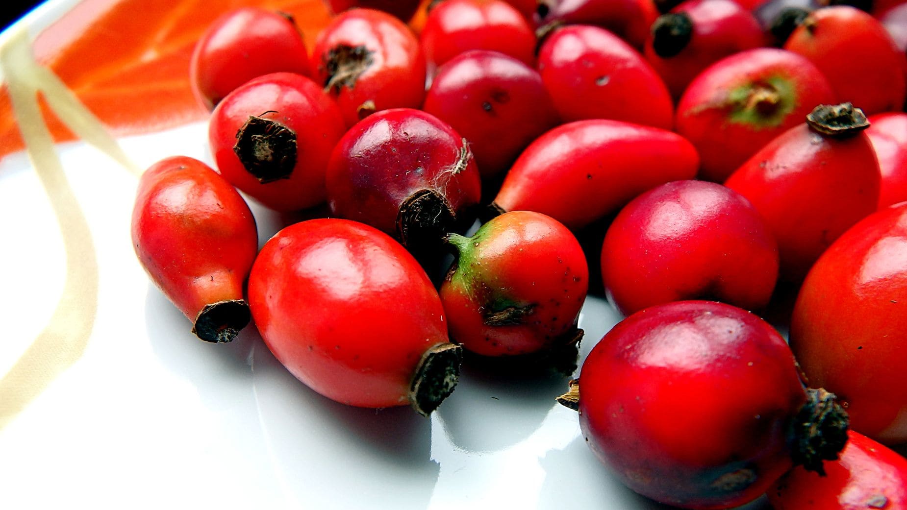 El escaramujo tiene más vitamina C que la naranja 